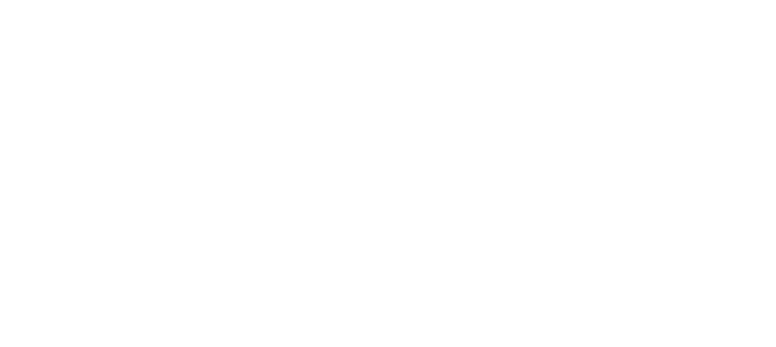 SSIPESA Logo Blanco
